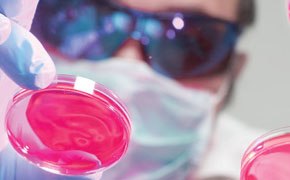 Stable Isotopes Imagen que muestra a un científico utilizando biomoléculas marcadas con isótopos estables en el laboratorio