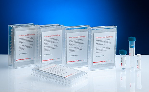 Custom DNA Oligos Exposición de recipientes transparentes etiquetados para su almacenamiento y manipulación, dispuestos en un grupo con varios tubos de ensayo a su lado, sobre un fondo azul.