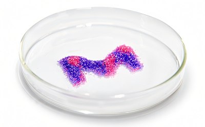 Petri dish with dynamic M created from high-purity salts Placa de Petri con una M dinámica creada a partir de sales de gran pureza