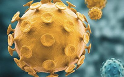 La imagen presenta un primer plano de las partículas del virus, con una partícula dorada dominante en el centro, caracterizada por su forma esférica y numerosas proteínas de espiga. En el fondo se observan otras partículas en tonos dorado-amarillos y azules, todo contra un fondo borroso que acentúa la figura central y añade profundidad a la composición. La imagen capta los complejos detalles y la diversidad de partículas de virus, destacando sus estructuras únicas. La imagen presenta un primer plano de las partículas del virus, con una partícula dorada dominante en el centro, caracterizada por su forma esférica y numerosas proteínas de espiga. En el fondo se observan otras partículas en tonos dorado-amarillos y azules, todo contra un fondo borroso que acentúa la figura central y añade profundidad a la composición. La imagen capta los complejos detalles y la diversidad de partículas de virus, destacando sus estructuras únicas.