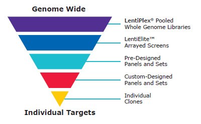 Representación gráfica que muestra una categorización de "Genome Wide» (todo el genoma) a "Individual Targets» (dianas concretas). Consiste en una pirámide invertida dividida en cinco secciones coloreadas. La sección superior está marcada como “LentiPlex® Pooled Whole Genome Libraries”, seguida de “LentiElite™ arrayed Screen”, “Pre-Design Panels and Sets”, “Custom-designed Panels and Sets”, y finalmente “Individual Clones”. Representación gráfica que muestra una categorización de "Genome Wide» (todo el genoma) a "Individual Targets» (dianas concretas). Consiste en una pirámide invertida dividida en cinco secciones coloreadas. La sección superior está marcada como “LentiPlex® Pooled Whole Genome Libraries”, seguida de “LentiElite™ arrayed Screen”, “Pre-Design Panels and Sets”, “Custom-designed Panels and Sets”, y finalmente “Individual Clones”.