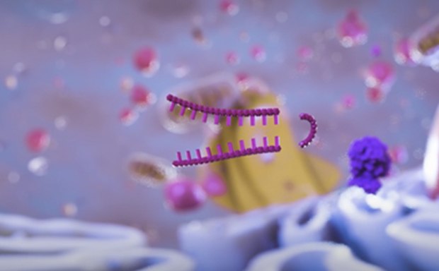 RNAi Single Clones MCP page Clones individuales de RNAi