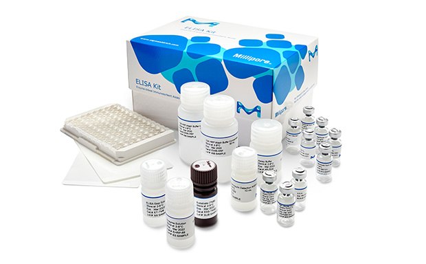 Enzyme-Linked Immunosorbent Assay (ELISA) Kits Kits y reactivos para ELISA