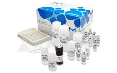 Kits y reactivos para ELISA