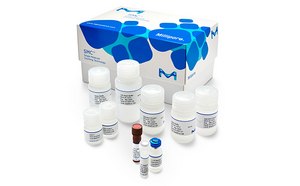 SMC® Immunoassays