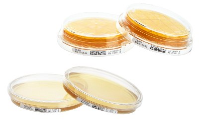 Placas de contacto y de sedimentación ICR/ICRplus para supervisión del aire y de superficies