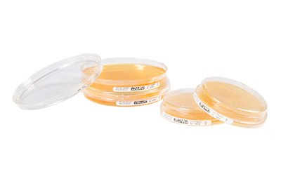 Non-lockable ICR and lockable ICRplus Contact and Settle Plates suitable for environmental monitoring in isolators and critical cleanrooms.