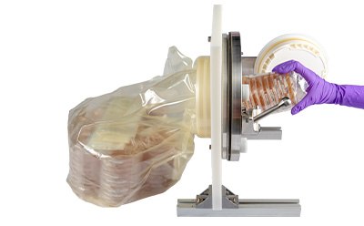 The IsoBag® solution, a sterile polyurethane DPTE Beta Bag designed for safe and convenient transfer of materials into isolators or RABS.