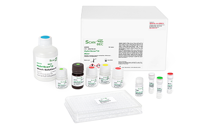 Sistema de análisis rápido mediante biología molecular HybriScan® para la detección e identificación de microorganismos