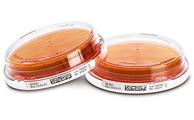 Two ICRplus contact plates containing Sabouraud Dextrose Agar (SDA), which are used for microbiological testing. The plates are displayed side by side. Each plate contains a reddish-brown agar medium and is sealed with a clear plastic lid. The plates have barcodes and labels indicating lot numbers and expiration dates.