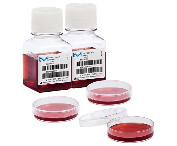 Two bottles filled with Mycoplasma, a red liquid. Next to the bottles, there are three petri dishes containing a similar red medium.