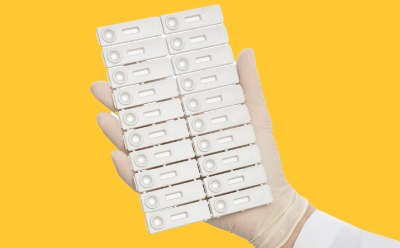 Lateral Flow Test for Salmonella Detection
