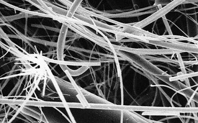 Glass fiber filter membrane Scanning electron microscope image of a glass fiber filter membrane