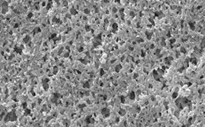 Nylon membrane SEM image of a nylon membrane Alt text: Scanning electron microscope image of a nylon membrane