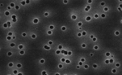 Polycarbonate membrane filter Scanning electron microscope image of a polycarbonate membrane