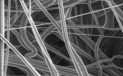 Polypropylene membrane filter Scanning electron microscope image of a polypropylene membrane
