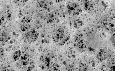 PVC membrane filter Scanning electron microscope image of a polyvinylidene chloride (PVC) membrane filter