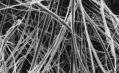 Quartz filter Scanning electron microscope image of a quartz filter