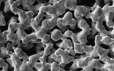 Silver membrane filter Scanning electron microscope image of a silver membrane filter