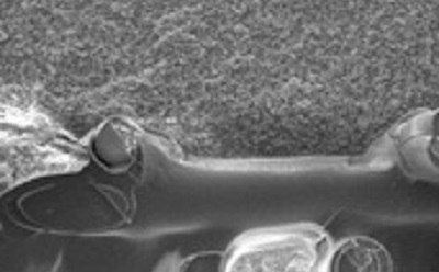 Strat-M® synthetic membrane filter Scanning electron microscope image of a Strat-M® synthetic membrane filter