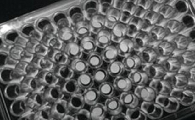 Imagen detallada en escala de grises de una placa de cultivo celular multipocillos, que destaca la precisi&oacute;n y la uniformidad esencial para los experimentos de cultivo celular, parte de una completa colecci&oacute;n de suministros para cultivo celular.