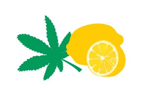 Terpenes Testing