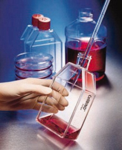 Material de vidrio y productos de laboratorio Corning. Material de vidrio y productos de laboratorio Corning.