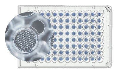 Millicell® Microwell Plates Millicell® Microwell 96-well plate showing the microwells within the wells in the plate