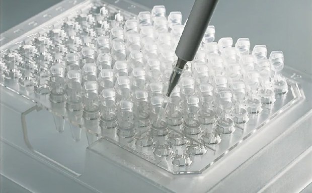 PCR Labware Supplies Pipeta dispensando líquido en una placa de microvaloración con múltiples pocillos transparentes.