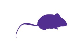 Rat&oacute;n