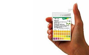 La imagen muestra una mano sosteniendo una tabla de tiras indicadoras de pH con múltiples cuadrados de colores, cada uno etiquetado con un valor de pH de 0 a 14, sobre un fondo blanco.