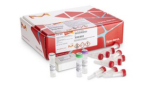 Kit de purificación de ADN de un solo centrifugado GenElute™-E para ADN genómico