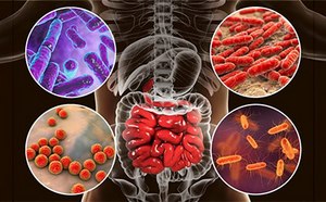 Microbioma