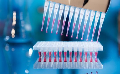 PCR cleanup Una pipeta multicanal dispensa meticulosamente líquido rosa en una microplaca transparente contra un fondo de equipo de laboratorio borroso.
