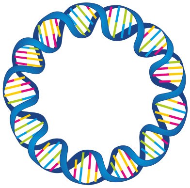 Plasmid purification Hebra de ADN plasmídico circular, que muestra la estructura de doble hélice con colores alternos que representan los pares de bases.