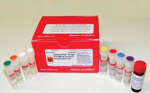 Caja roja etiquetada como ‘AMPLIFICATION KIT’ (“KIT DE AMPLIFICACIÓN”) junto a varias botellas pequeñas con tapas de diferentes colores en una superficie blanca en un entorno de laboratorio.