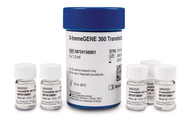 X Tremegene Roche Transfection Reagents Bottles Seis frascos de laboratorio dispuestos en dos filas. En la fila de atrás se observa una botella más grande con un tapón azul y con la etiqueta “X-tremeGENE 360 Transfection Reagent”, que incluye detalles del producto e instrucciones de conservación. Por delante, hay cinco botellas más pequeñas con tapones blancos, cada una etiquetada con códigos diferentes: D4072, D4073, D4074, D4075 y D4076.