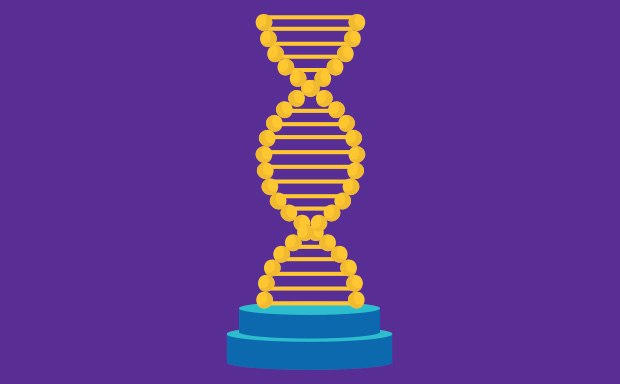 Endonuclease Enzimas endonucleasas