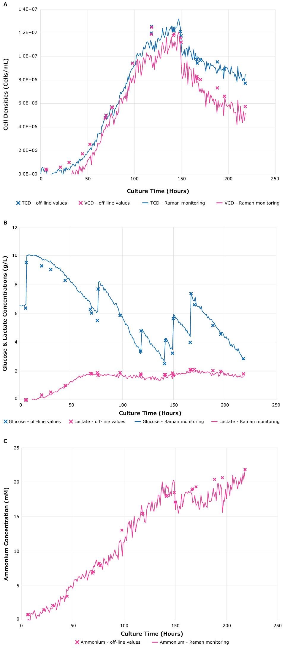 Comparison of off-line measurements and real-time monitoring performed by ProCellics™ Raman Analyzer with Bio4C® PAT Raman Software of TCD and VCD, glucose, lactate, and ammonium. Comparison of off-line measurements and real-time monitoring performed by ProCellics™ Raman Analyzer with Bio4C® PAT Raman Software of TCD and VCD, glucose, lactate, and ammonium showed close alignment of results.