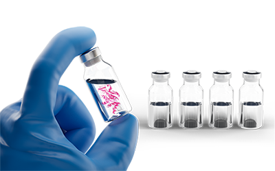 Formulaciones parenterales utilizando estabilizadores de proteínas Formulaciones parenterales utilizando estabilizadores de proteínas