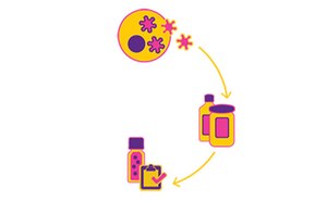 Plataformas de producción de vectores víricos