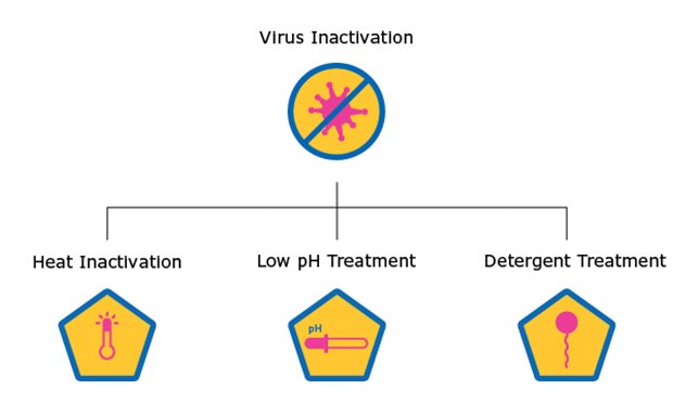 Virus Inactivation Graphic of Virus Inactivation: A: Heat Inactivation; B: Low pH Treatment; C: Detergent Treatment