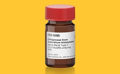 Collagenase bottle botella de colagenasa