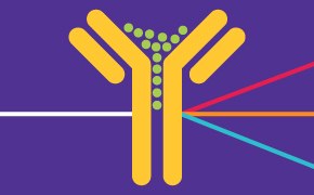 representación gráfica de la interacción de un anticuerpo con los antígenos, con una estructura amarilla en forma de Y sobre un fondo morado con puntos verdes en el interior superior de la estructura en Y y líneas de colores que sugieren diferentes vías o interacciones.