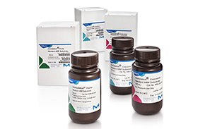 Immobilon® Chemiluminscent Western Blotting Substrates Sustratos de inmunoelectrotransferencia quimioluminiscente Immobilon® Forte, Crescendo y Classico