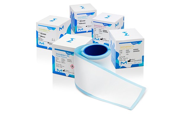 Immobilon Transfer Membranes & Kits Membranas de transferencia de PVDF y nitrocelulosa Immobilon® para aplicaciones de inmunoelectrotransferencia (Western blotting).