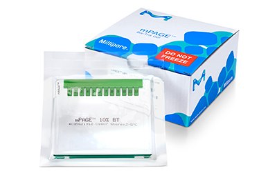 Un gel de electroforesis de proteínas y un kit de amortiguación etiquetado como &quot;mPAGE 10X BT&quot; de Millipore, se muestra junto a su embalaje con una advertencia de «NO CONGELAR» (‘DO NOT FREEZE’) . El gel es verde y se encuentra en un recipiente transparente con múltiples pocillos para la carga de la muestra, lo que destaca la disposición del kit para su uso en experimentos de electroforesis.