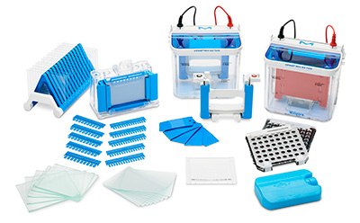 Lanzador de gel para electroforesis mPAGE®