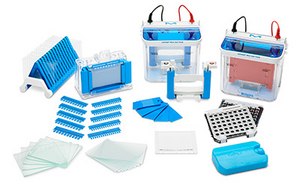 Electroforesis en gel de proteínas utilizando el sistema de electroforesis en gel Millipore® mPAGE™