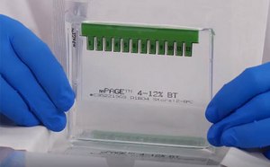 Geles bis-tris mPAGE™ para electroforesis de proteínas